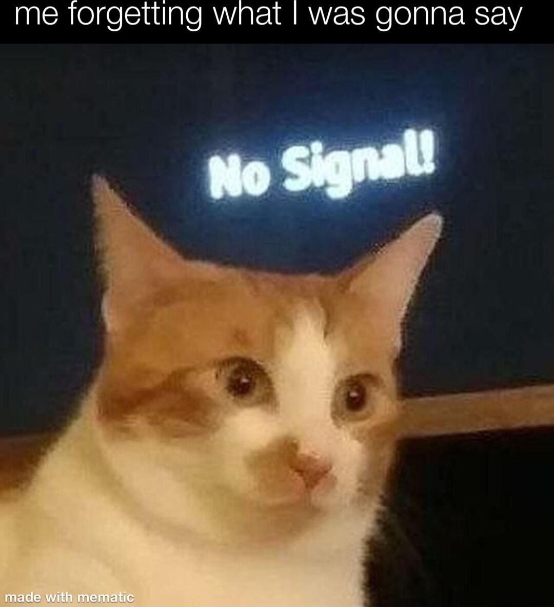 me forgetting what was gonna say