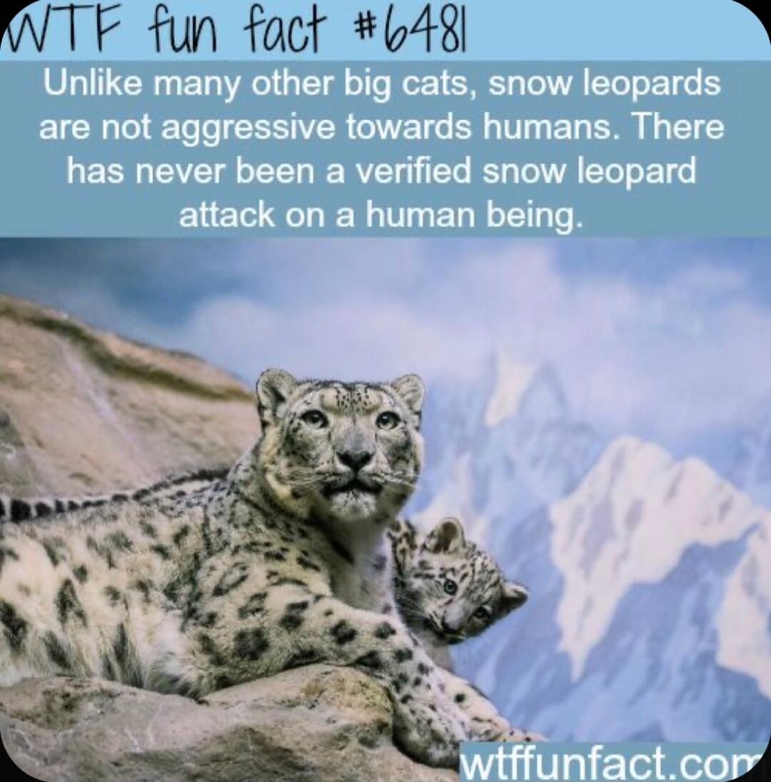 WTF fun fact 648