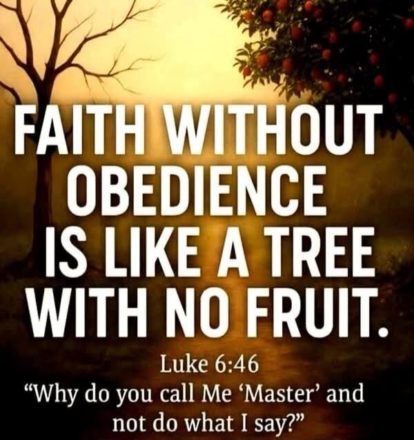 FAITH WITHOUT OBEDIENCE IS LIKE A TREE WITH NO FRUIT. Luke 6:46 