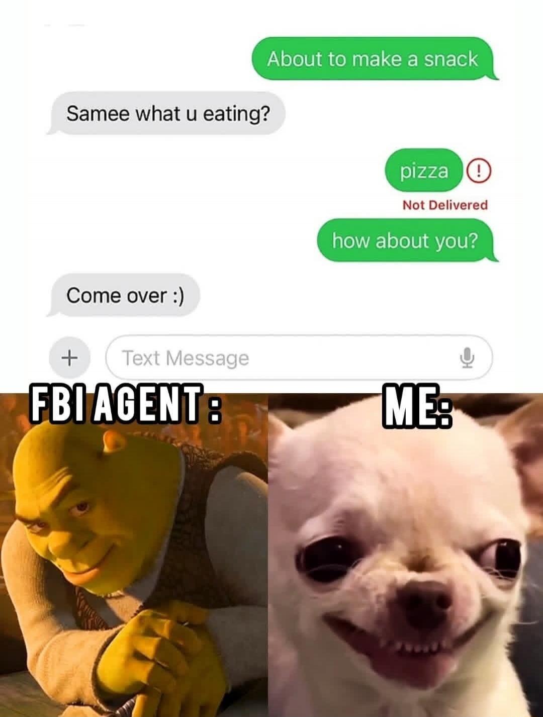 About to make a snack
Samee what u eating?
pizza
Not Delivered
how about you?
Come over :)

[Image meme: FBI AGENT on left, ME on right with captions]
