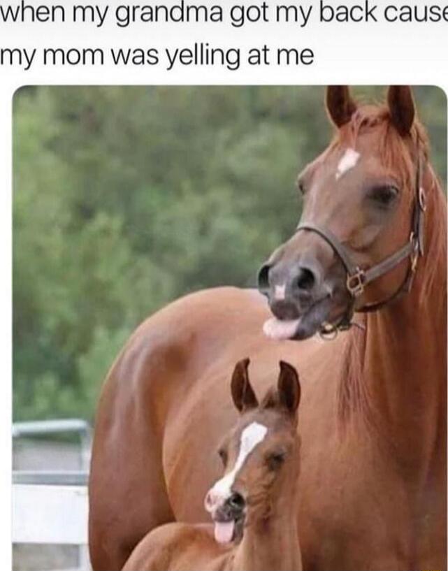 en my grandma got my my mom was yelling at me