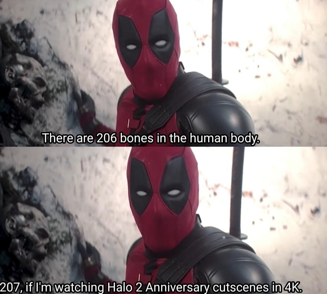 Therelare 206 bones in the human body3 o i A8 s Imiwatching Halo 2 Anniversary cutscenes intAK