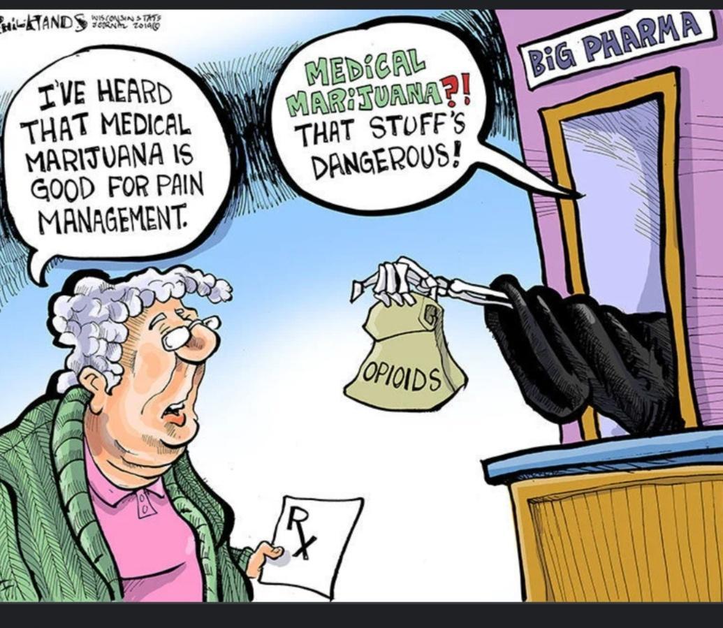 TVE HEARD THAT MEDICEL Y MARITURNA 15 oOD FoR PAN MANAGEMENT