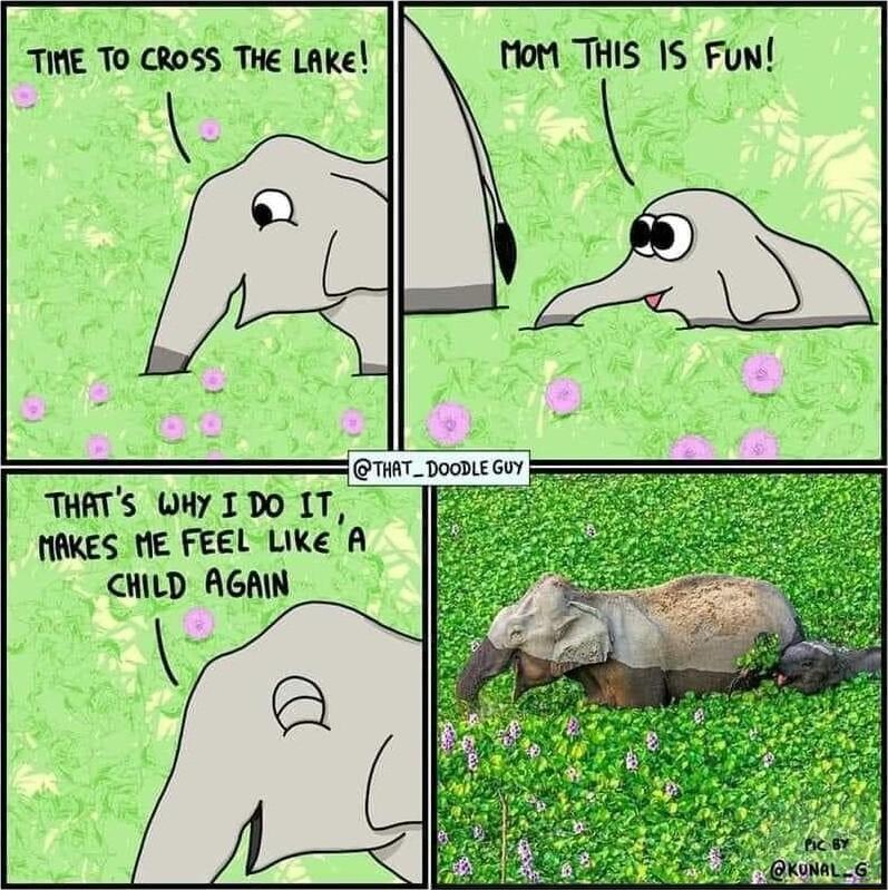 THE TO CROSS THe LAKe Hott THIS IS Fun oo A THATS WHY IDO IT HAKES ME FEEL Like A CHILD AGAIN D00DLE G