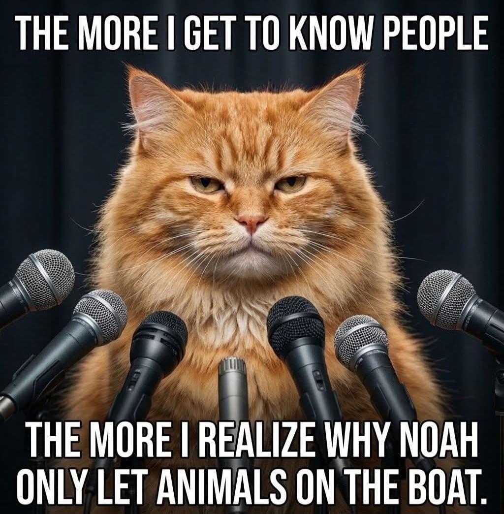 THE MORE I GET TO KNOW PEOPLE THE MORE I REALIZE WHY NOAH ONLY LET ANIMALS ON THE BOAT.