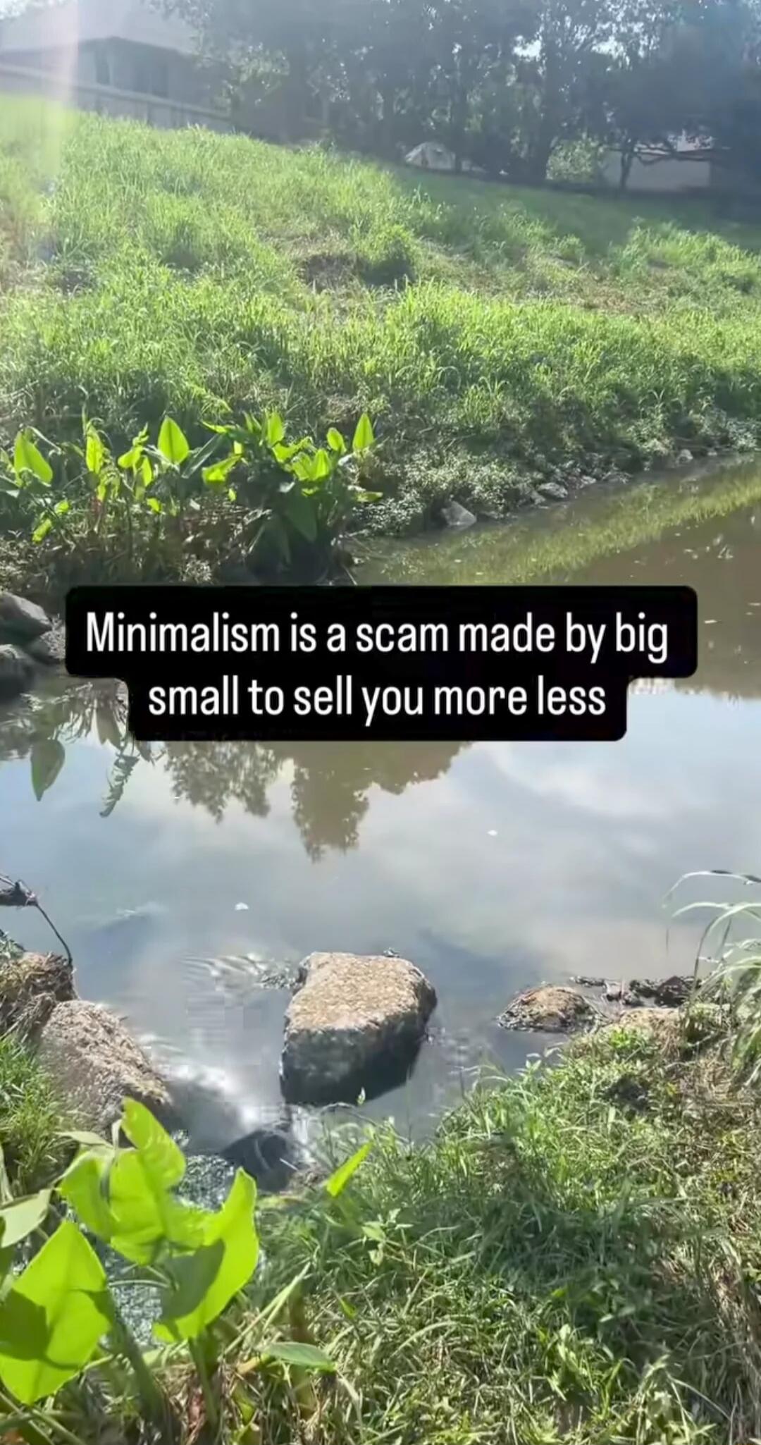 Minimalism is a scam made by big small to sell you more less