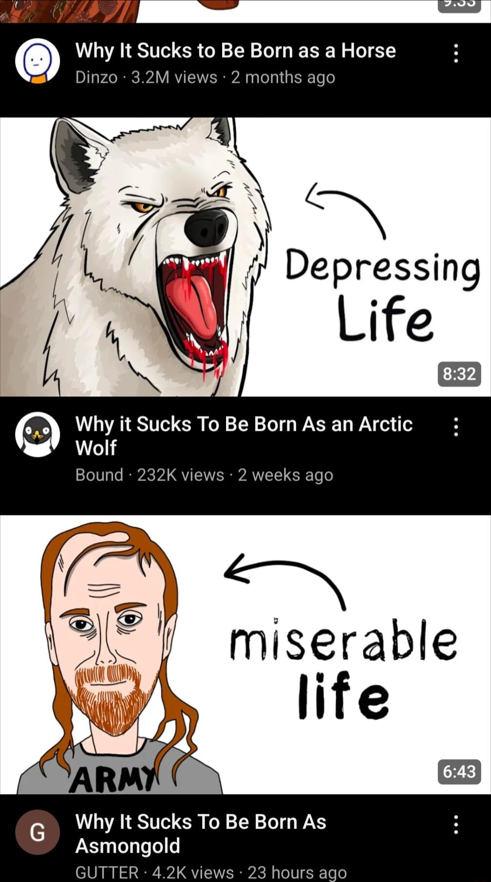 Why It Sucks to Be Born as a Horse 2 months age Depressing f5 Why it Sucks To Be Born As an Arctic Wolf G Why It Sucks To Be Born As Asmongold GUTTER 42K vies