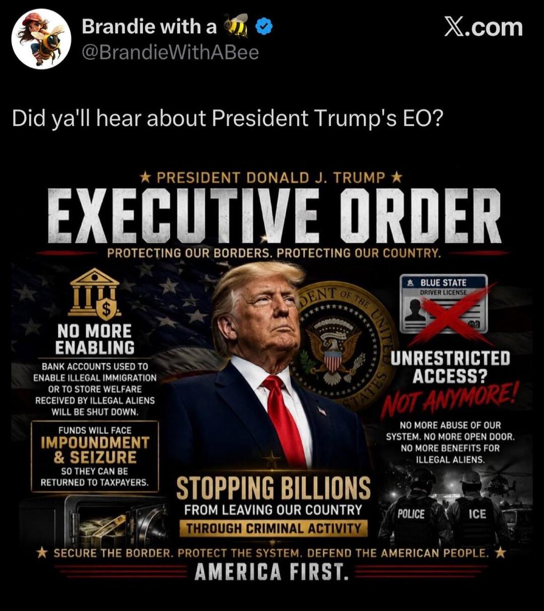 Brandie with a bee. X.com. Did y'all hear about President Trump's EO? President Donald J. Trump. Executive Order. Protecting our borders. Protecting our country. No more enabling. Bank accounts used to enable illegal immigration or to store welfare received by illegal aliens will be shut down. Funds will face impoundment & seizure so they can be re