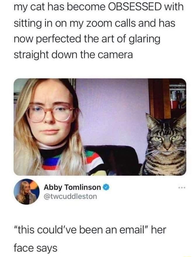 my cat has become OBSESSED with sitting in on my zoom calls and has now perfected the art of glaring straight down the camera Abby Tomlinson tweuddleston this couldve been an email her face says