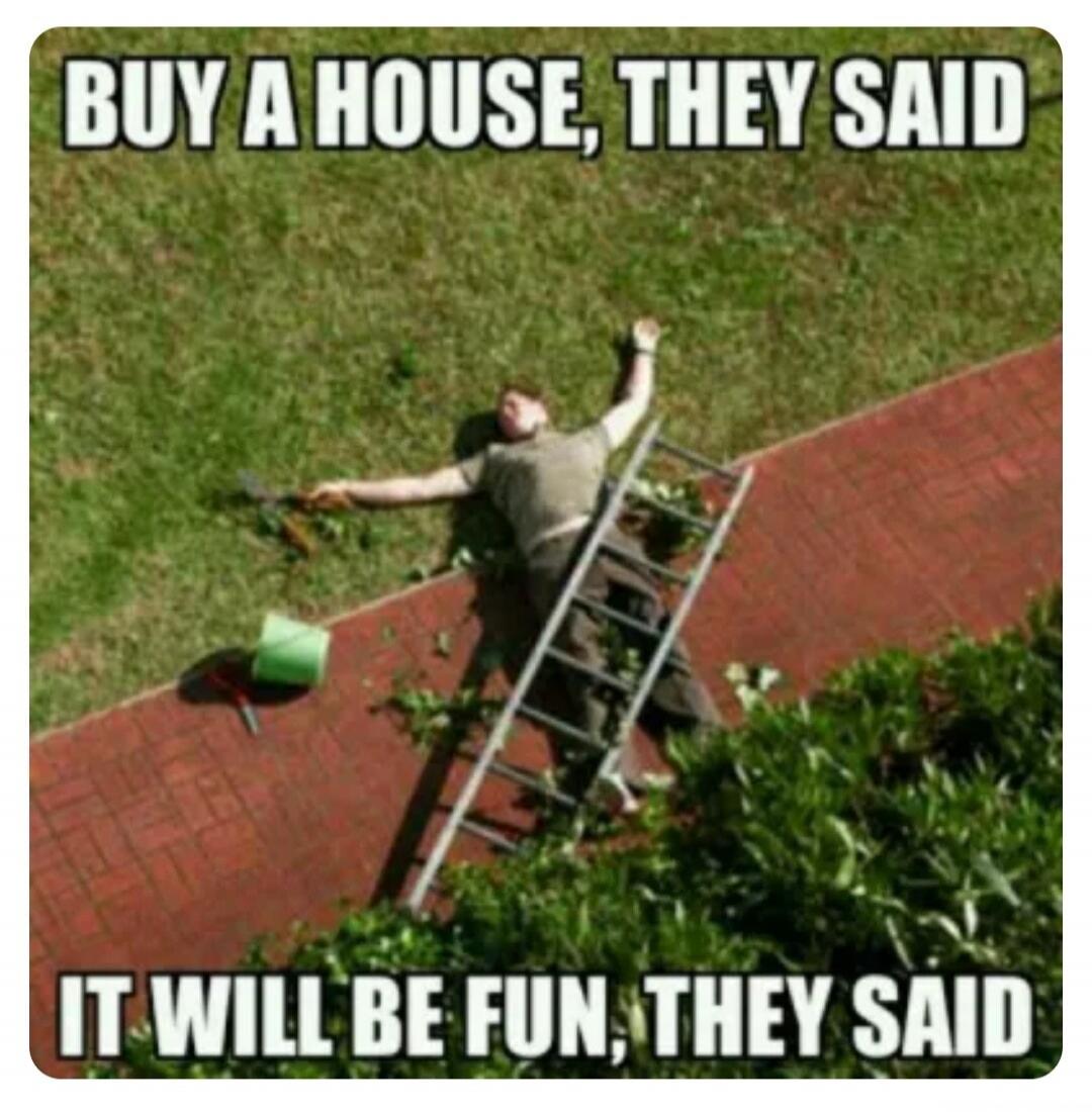 BUY A HOUSE, THEY SAID IT WILL BE FUN, THEY SAID