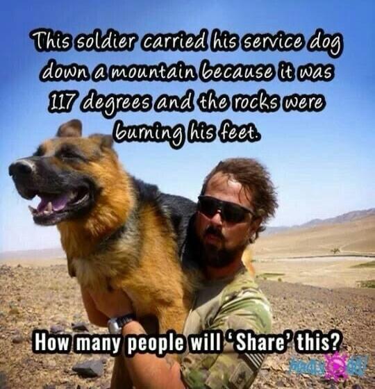 This soldier carried his service dog down a mountain because it was 117 degrees and the rocks were burning his feet. How many people will 'Share' this?