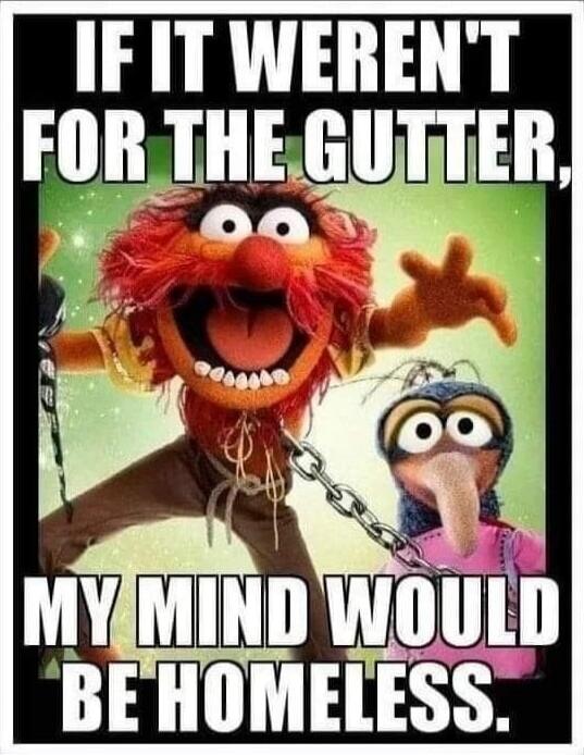 IF IT WEREN'T FOR THE GUTTER, MY MIND WOULD BE HOMELESS.