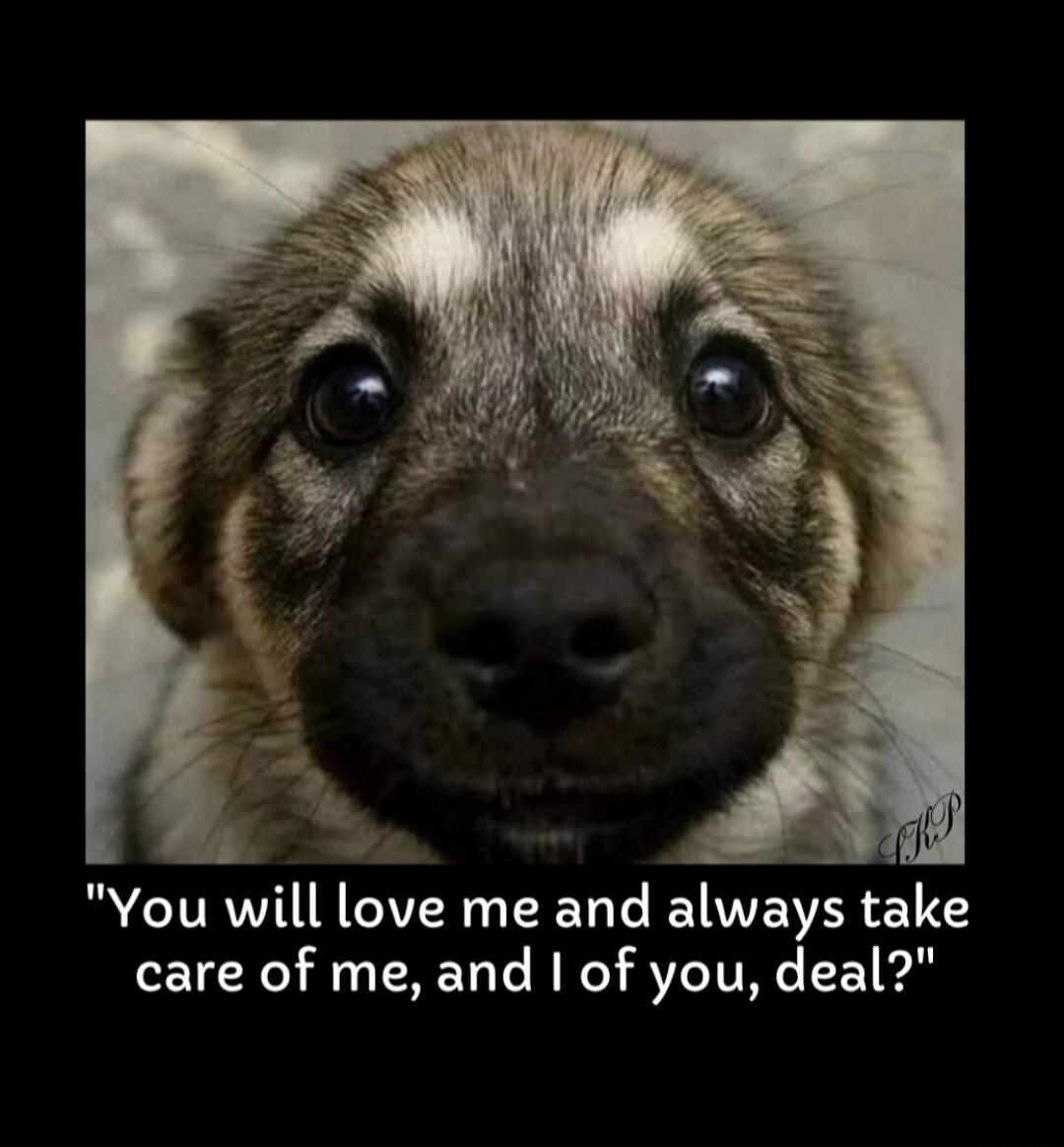 N You will love me and always take care of me and of you deal