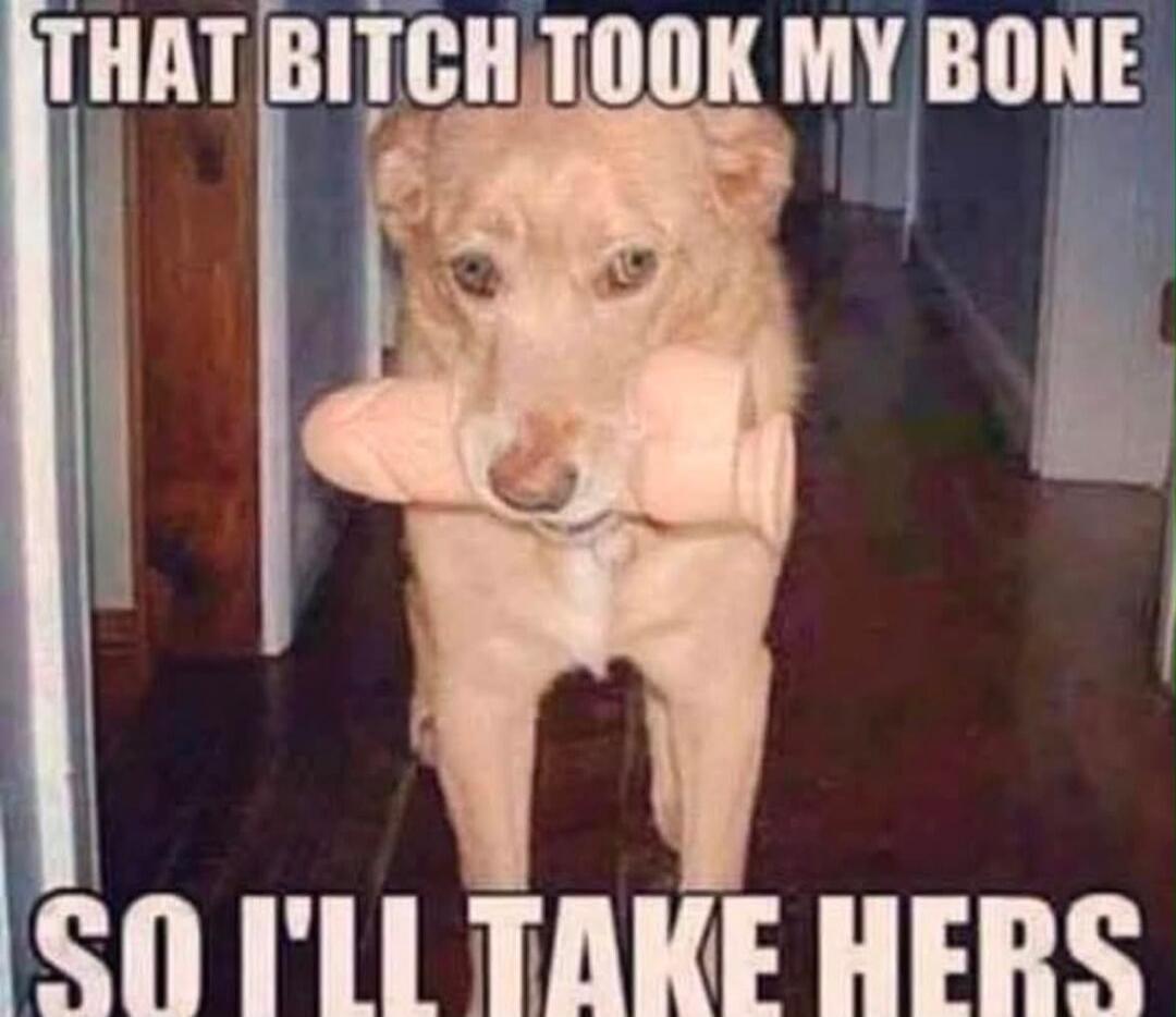 THAT BITCH TOOK MY BONE SO I'LL TAKE HERS