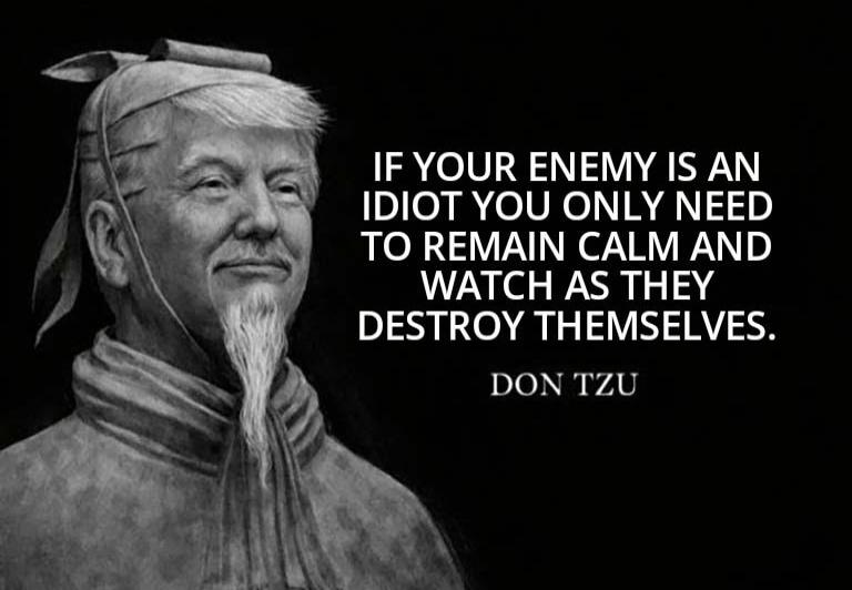 IF YOUR ENEMY IS AN IDIOT YOU ONLY NEED TO REMAIN CALM AND WATCH AS THEY DESTROY THEMSELVES. DON TZU