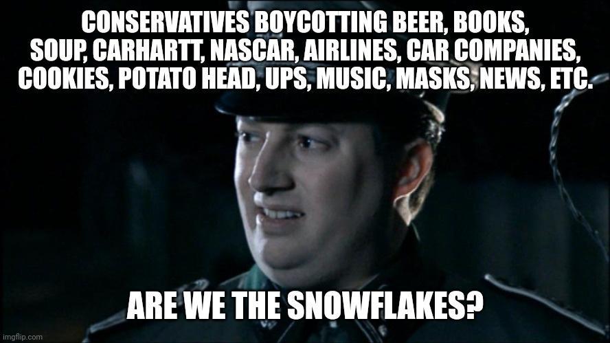 CONSERVATIVES BOYCOTTING BEER BOOKS SOUP CARHARTT NASCAR AIRLINES CAR COMPANIES COOKIES POTATO HEAD UPS MUSIC MASKSINEWS ITG AREWE THE SNOWFLAKES