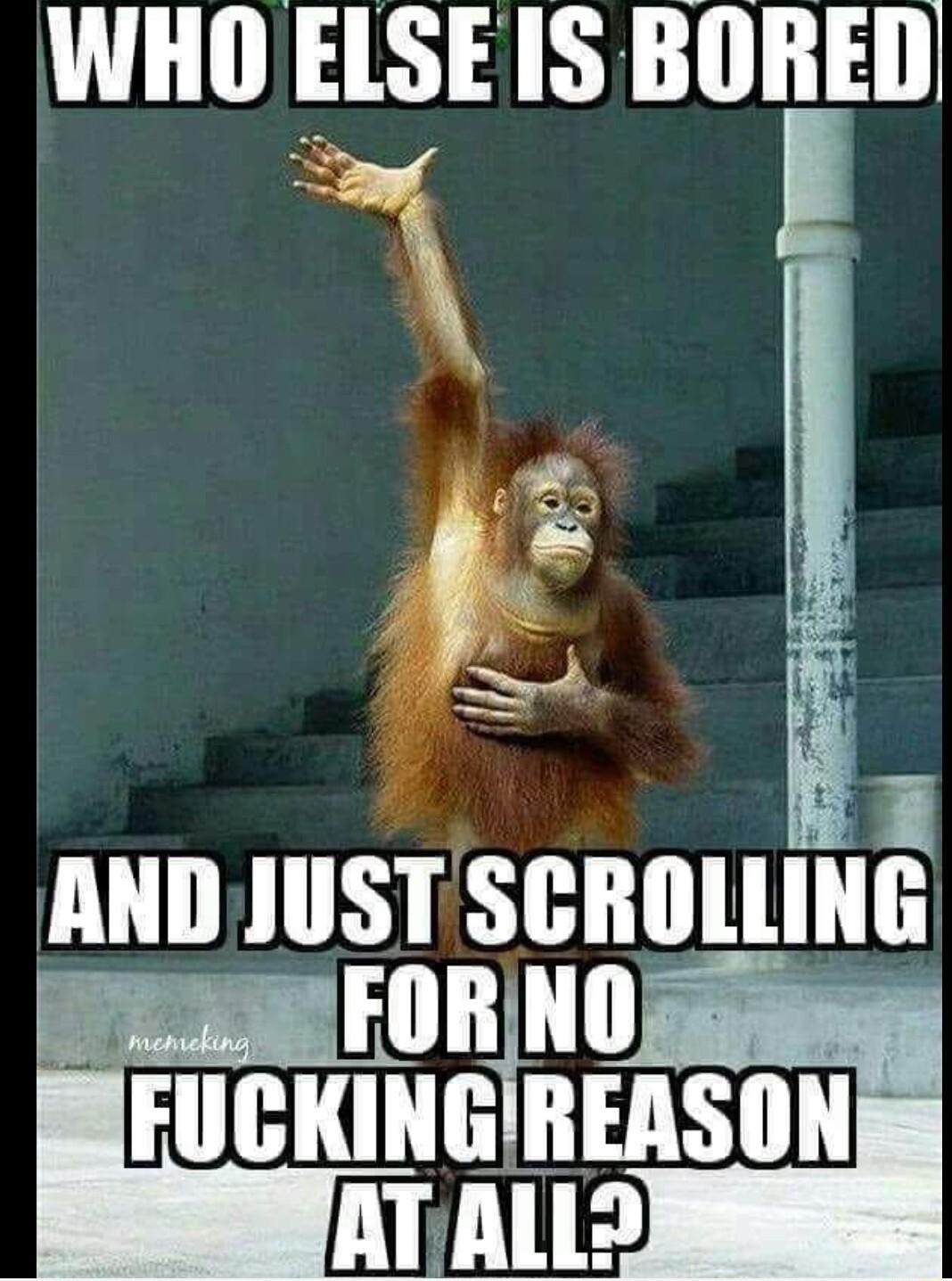 WHO ELSE IS BORED S8 s LULRLTRY Sclllllllllli