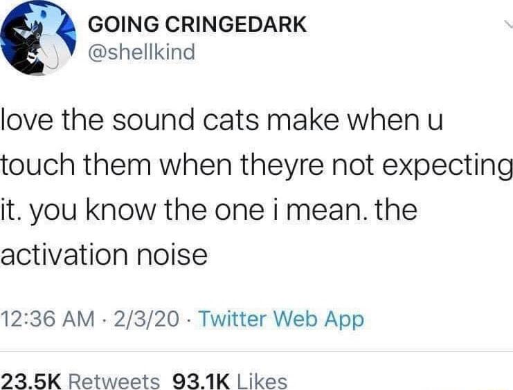 GOING CRINGEDARK shellkind love the sound cats make when u touch them when theyre not expecting it you know the one i mean the activation noise 1236 AM 2320 Twitter Web App 23 5K Retweets 931K Likes
