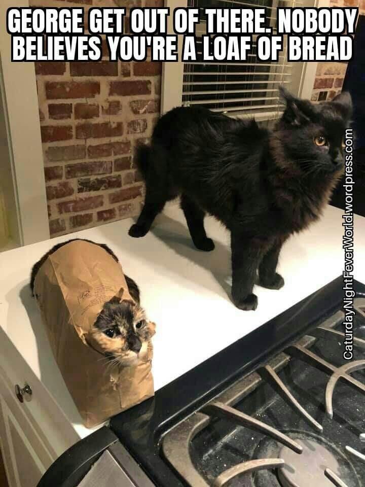 GEORGEGET OUTIOFTHERENOBODY IBELIEVES voungnLoifnliEnp