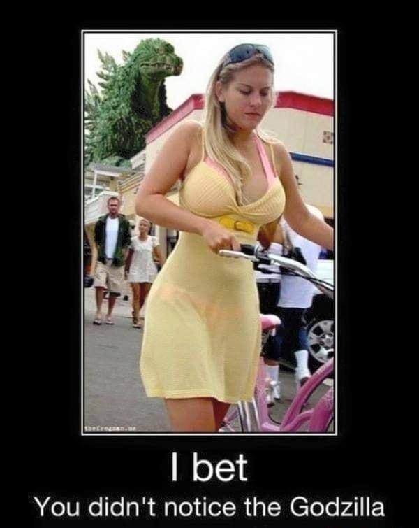 You didnt notice the Godzilla