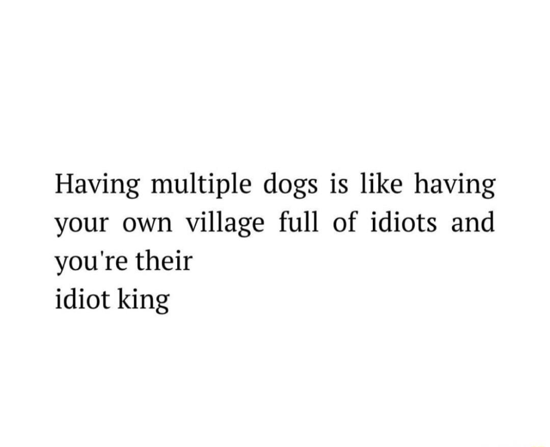 Having multiple dogs is like having your own village full of idiots and you're their idiot king