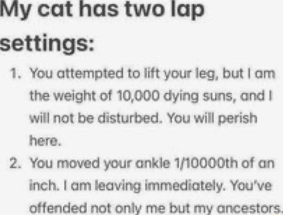 My cat has two lap settings 1 You attempted to lift your leg but am the weight of 10000 dying suns and will not be disturbed You will perish here 2 You moved your ankle 110000th of an inch am leaving immediately Youve offended not only me but my ancestors