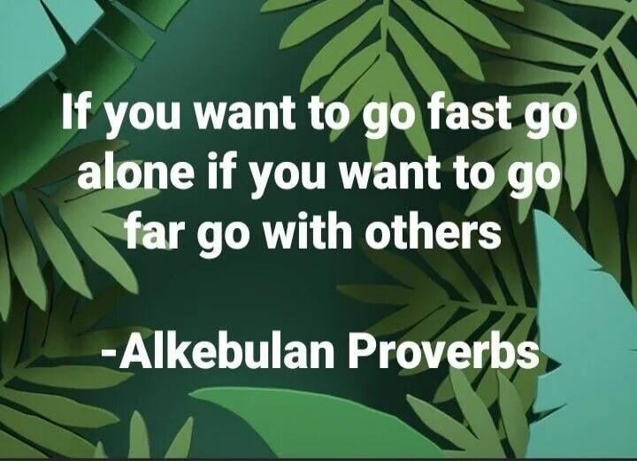 If you want to go fast go alone if you want to go far go with others -Alkebulan Proverbs