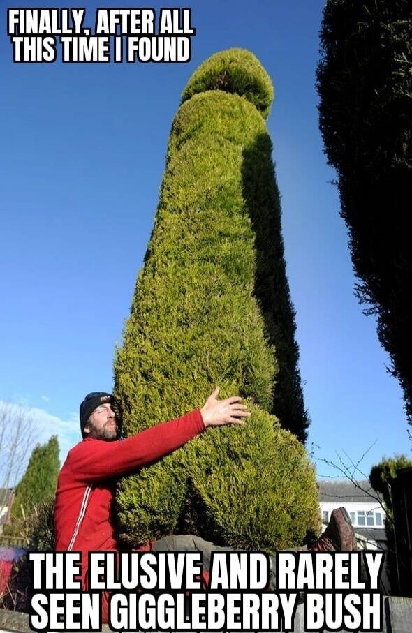 FINALLY, AFTER ALL THIS TIME I FOUND THE ELUSIVE AND RARELY SEEN GIGGLEBERRY BUSH
