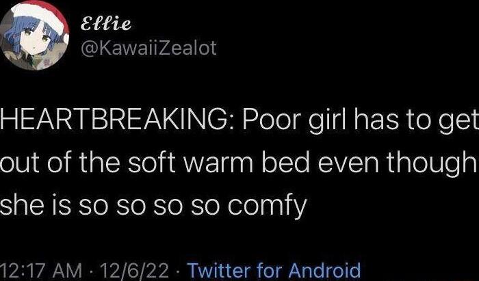 Ettie GLENEIPAE 6 HEARTBREAKING Poor girl has to get out of the soft warm bed even though she is so S0 S0 so comfy 1217 AM 12622 Twitter for Android