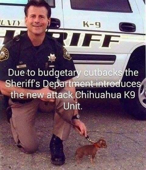 Dueto budgeta Sheriffs Depariinenemtre theeWattack chihuahua K9 Unit X