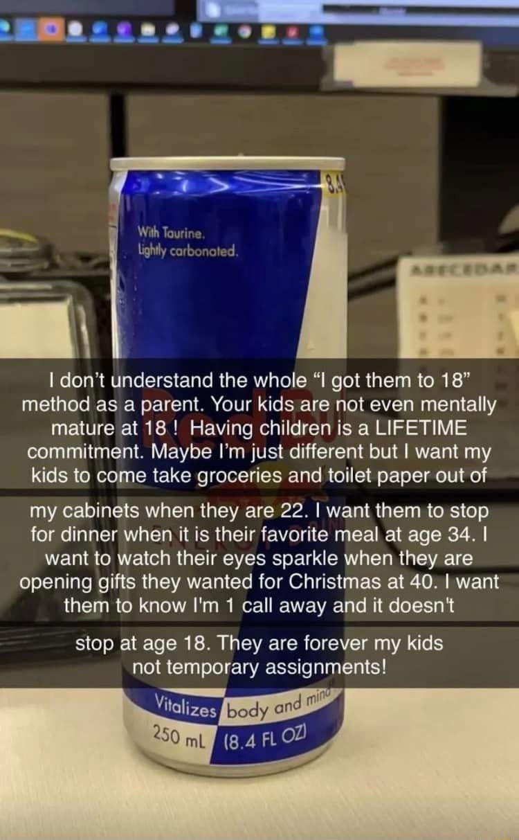 I dont understand the whole I got them to 18 method as a parent Your kids are not even mentally mature at 18 Having children is a LIFETIME commitment Maybe Im just different but want my kids to come take groceries and toilet paper out of my cabinets when they are 22 want them to stop for dinner when it is their favorite meal at age 34 want to watch their eyes sparkle when they are opening gifts th