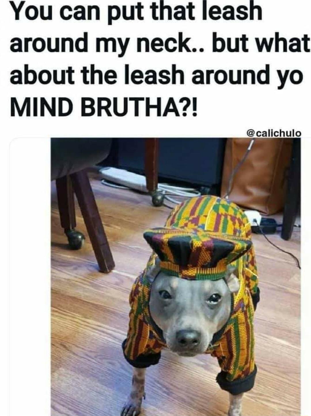 You can put that leash around my neck but what about the leash around yo MIND BRUTHA calichulo