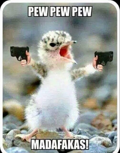 PEW PEW PEW
MADAFAKAS!