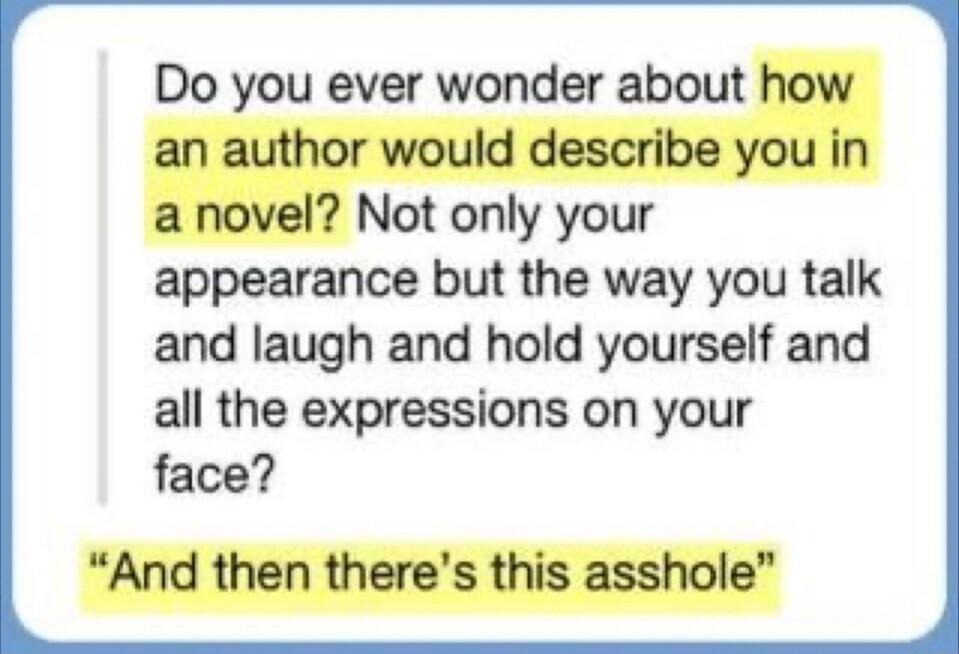 Do you ever wonder about how an author would describe you in a novel Not only your appearance but the way you talk and laugh and hold yourself and all the expressions on your face And then theres this asshole