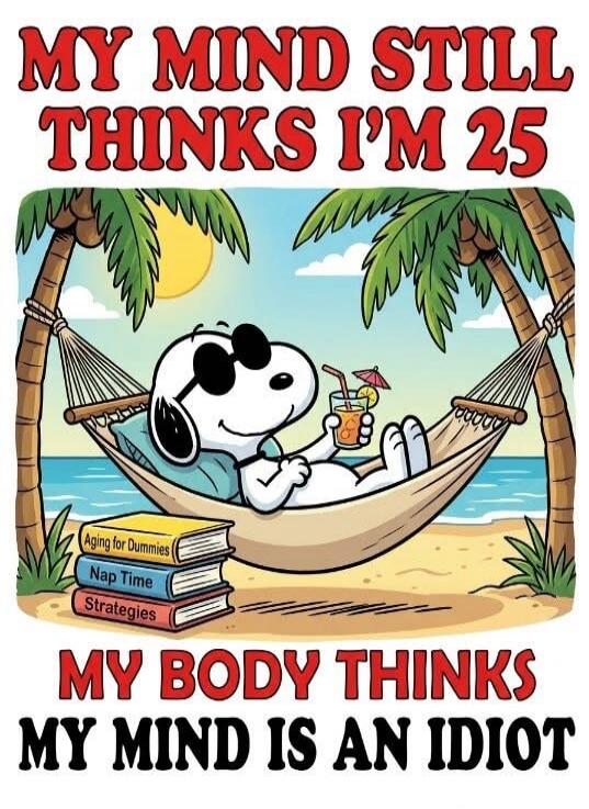 MY MIND STILL THINKS I'M 25. Aging for Dummies. Nap Time. Strategies. MY BODY THINKS MY MIND IS AN IDIOT.