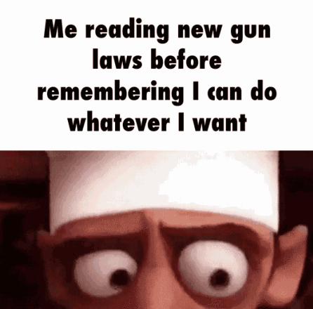 Me reading new gun laws before remembering can do whatever want