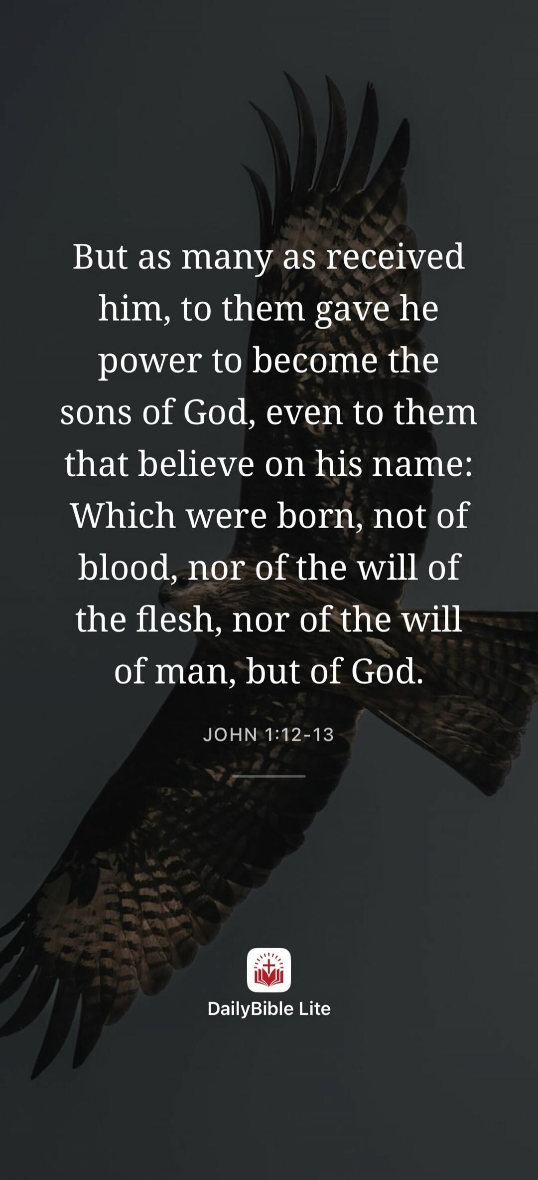 But as many as received him, to them gave he power to become the sons of God, even to them that believe on his name: Which were born, not of blood, nor of the will of the flesh, nor of the will of man, but of God. JOHN 1:12-13 DailyBible Lite