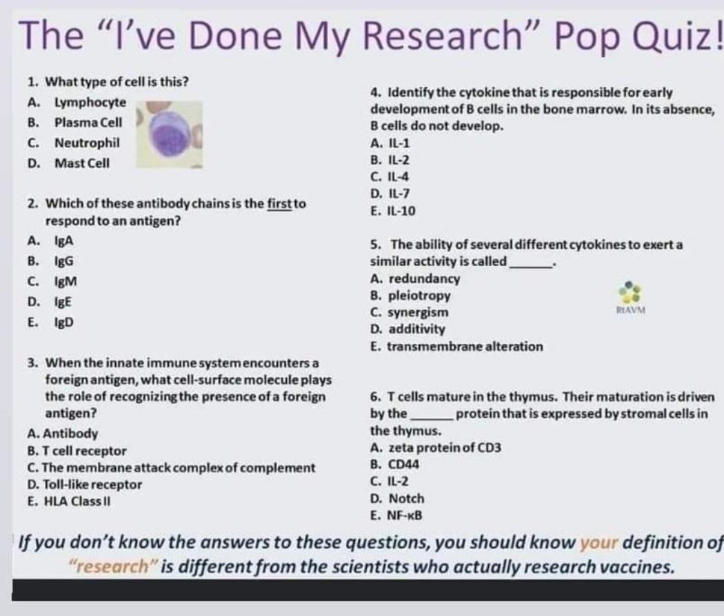 The Ive Done My Research Pop Quiz 1 What type of cell is this A Lymphocyte 8 PlasmaCell C Neutrophil D MastCell 2 Which of these antibody chains is the firstto respond to an antigen IsA 186 M IgE 180 mene 3 When the innate immune system encounters a foreign antigen what cell surface molecule plays the role of recognizing the presence of a foreign antigen A Antibody B T cell receptor C The membrane