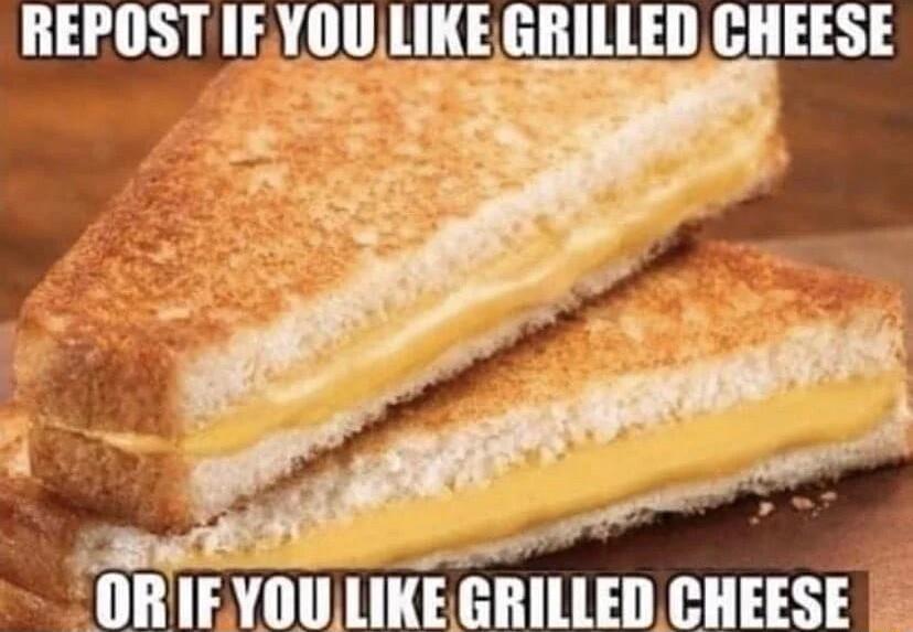 REPOSTIF Vlll lIIE GRILLED CHEESE OR IF YOU LIKE GRILLED CHEESE