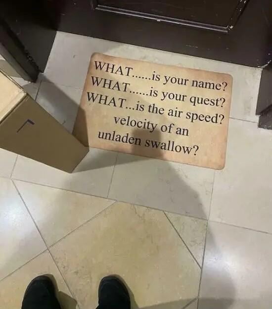 r WllTv 1S your name WHA N WHA 1 Velocjp unlag 1 your Quest e air Speed Ofan llow