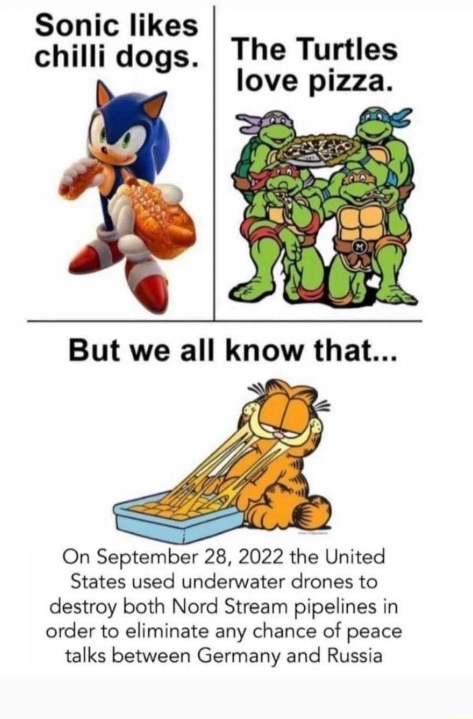 Sonic likes chilli dogs The Turtles love pizza But we all know that On September 28 2022 the United States used underwater drones to destroy both Nord Stream pipelines in order to eliminate any chance of peace talks between Germany and Russia