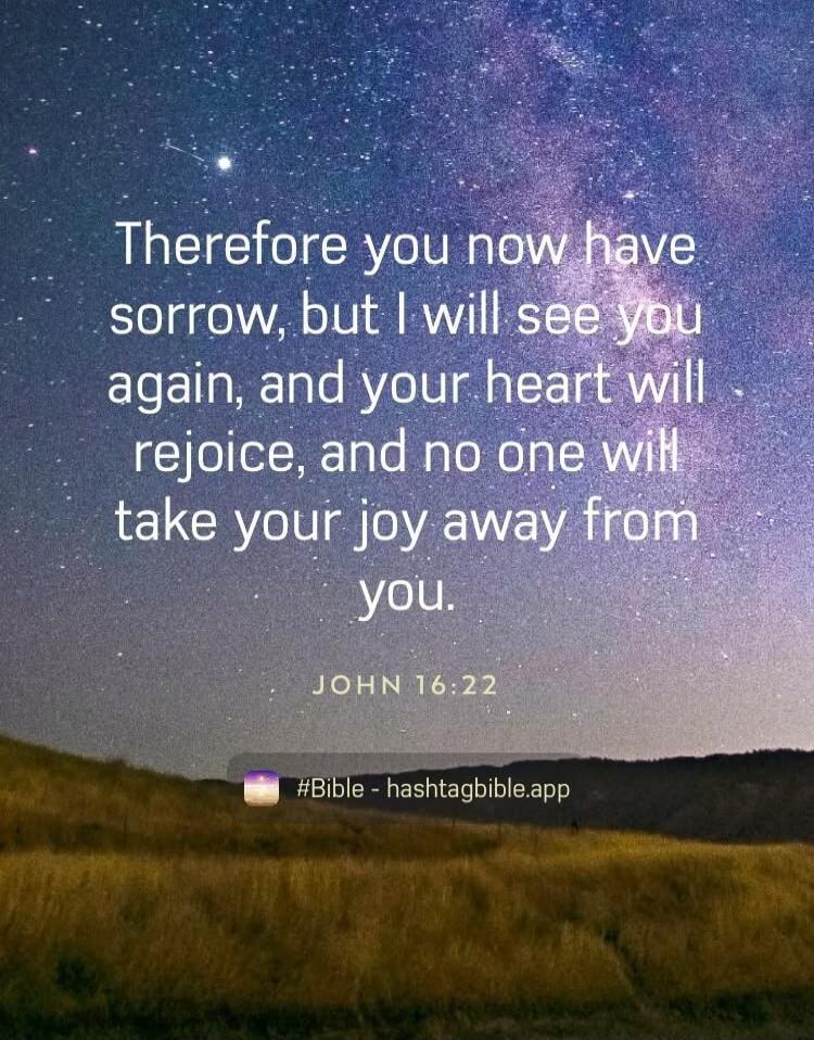 Therefore you now have sorrow, but I will see you again, and your heart will rejoice, and no one will take your joy away from you. JOHN 16:22 #Bible - hashtagbible.app