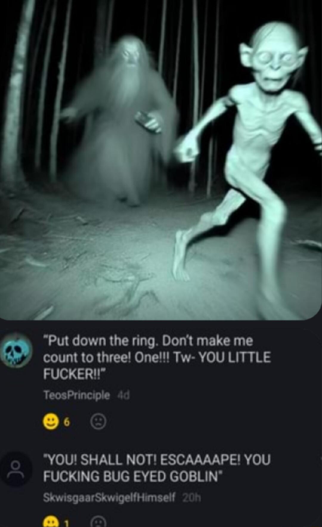 Put down the ring Dont make me count to three One Tw YOU LITTLE FUCKER TeosPrinciple 4 YOU SHALL NOT ESCAAAAPE YOU FUCKING BUG EYED GOBLIN SkwisgaarSkwigelfHimself o