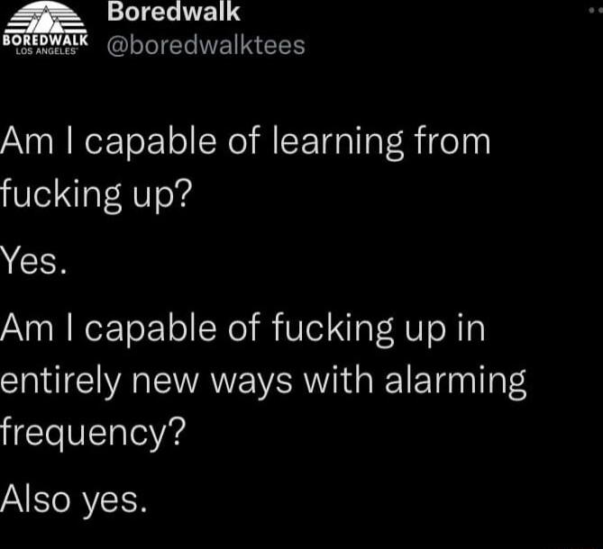 LEICRUENS SMENAX boredwalktees Am capable of learning from fucking up Yes Am capable of fucking up in entirely new ways with alarming frequency A RYCEN