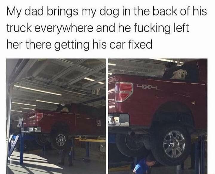 My dad brings my dog in the back of his truck everywhere and he fucking left her there getting his car fixed