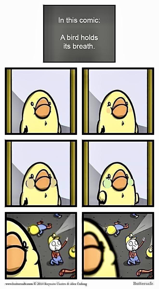 In this comic A bird holds its breath