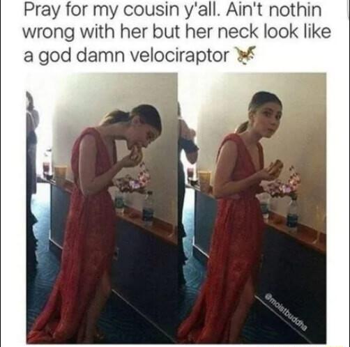 Pray for my cousin yall Aint nothin wrong with her but her neck look like a god damn velociraptor