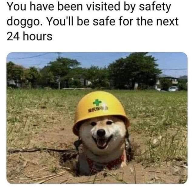 You have been visited by safety doggo Youll be safe for the next 24 hours