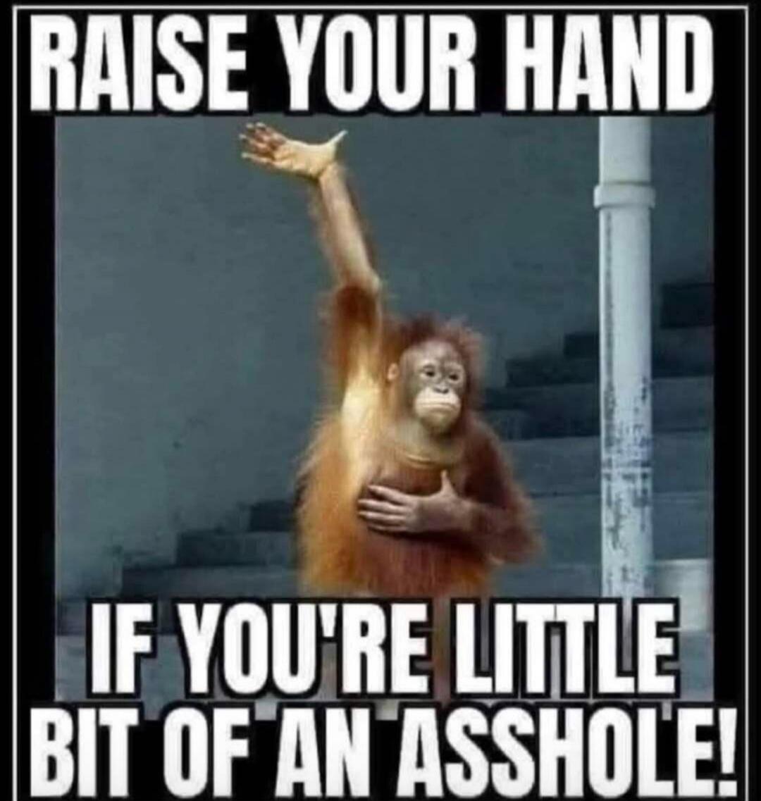 RAISE YOUR HAND IF YOU'RE LITTLE BIT OF AN ASSHOLE!
