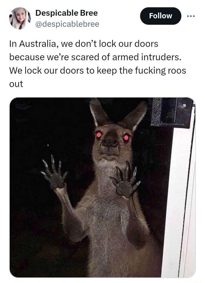 Despicable Bree despicablebr In Australia we dont lock our doors because were scared of armed intruders We loc doors to keep the fucking roos out